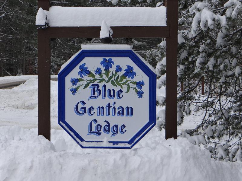 Blue Gentian Lodge At Magic Mountain image
