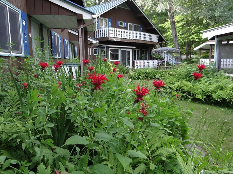 Blue Gentian Lodge At Magic Mountain image