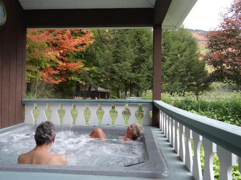 Blue Gentian Lodge At Magic Mountain image