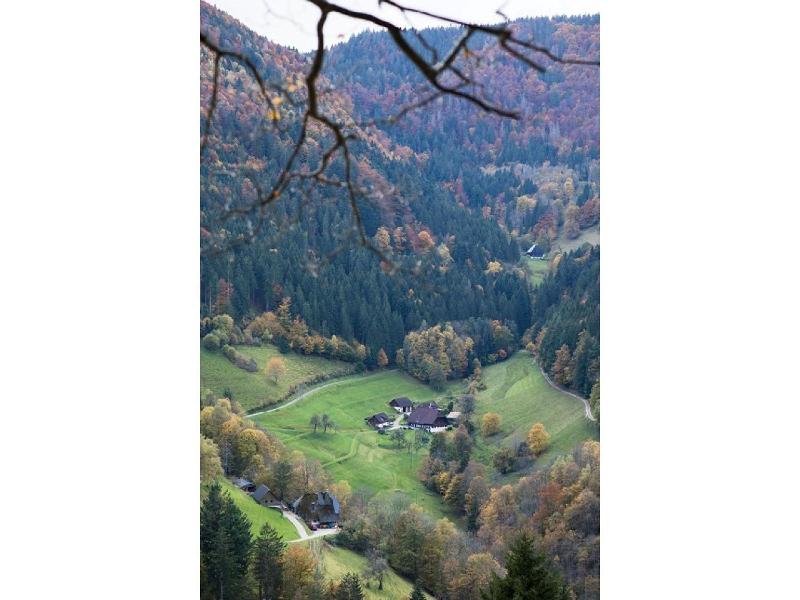 Kräuter Chalet image