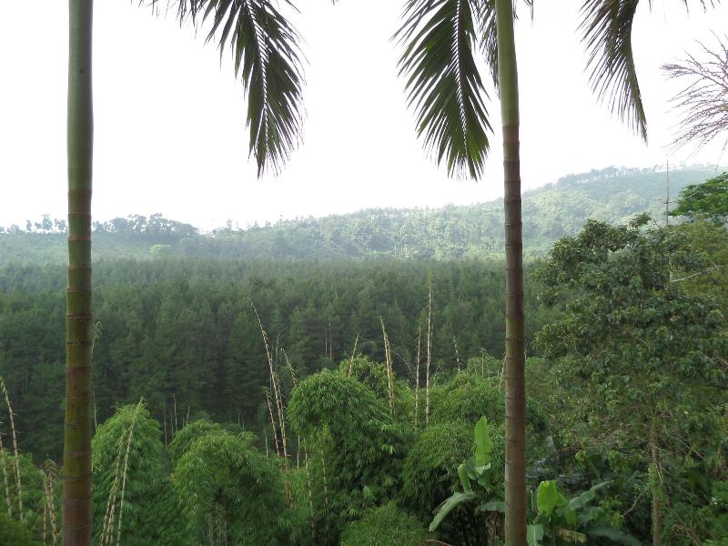Sukapura Permai Hotel image