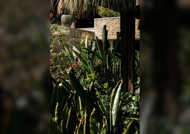 Meno House image