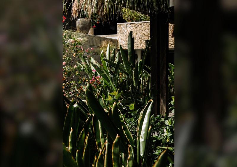 Meno House image