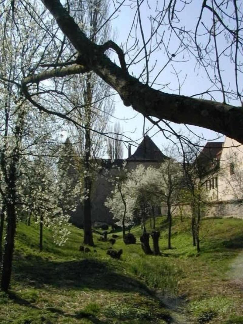 Weingut Gästehaus Weigand image
