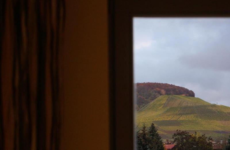 Weingut Gästehaus Weigand image