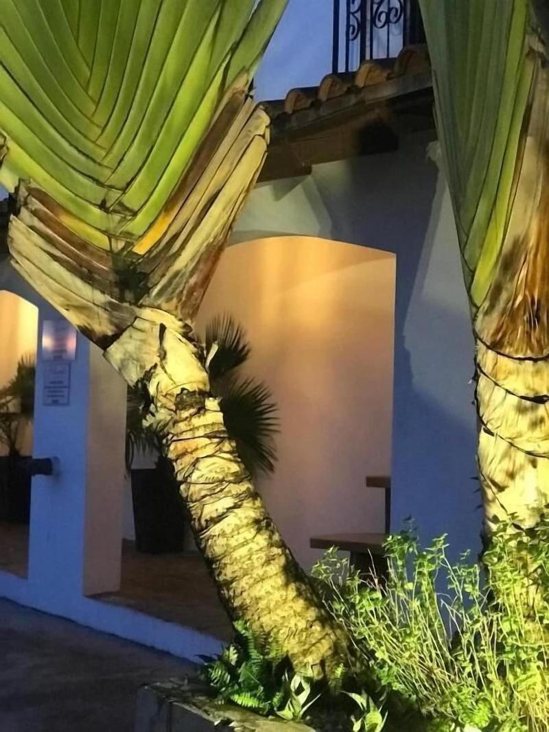 Hotel Gran David image