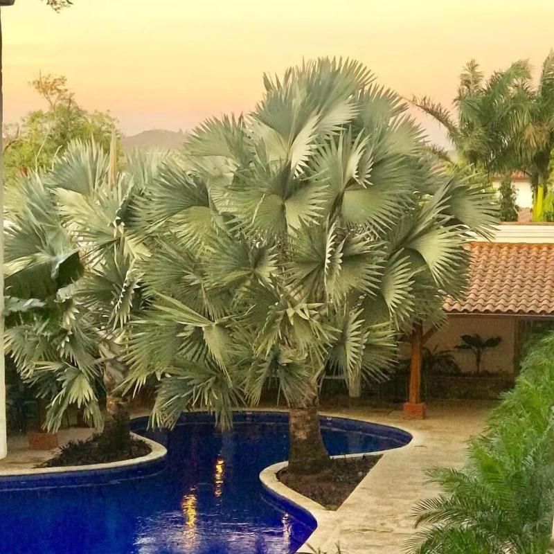 Hotel Gran David image