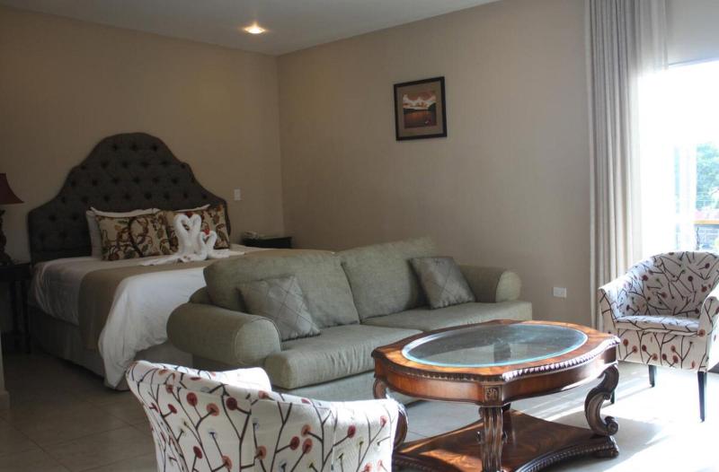 Hotel Gran David image