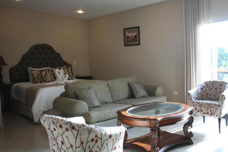Hotel Gran David image