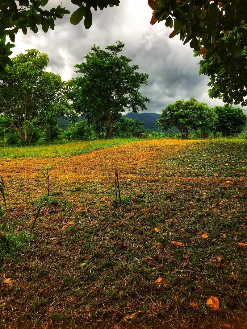 Vue Grand Hilltop
