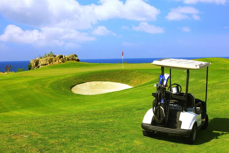Thunderbird Resorts - Poro Point image