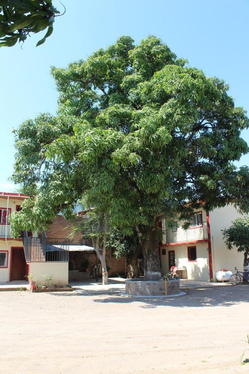 Meson La Huerta image