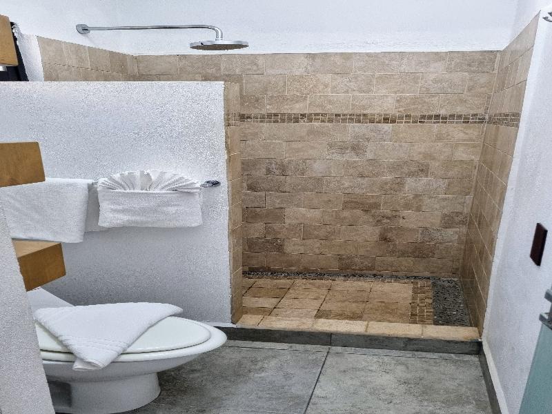 Buena vista Oceanfront & Hot Springs Resort  image
