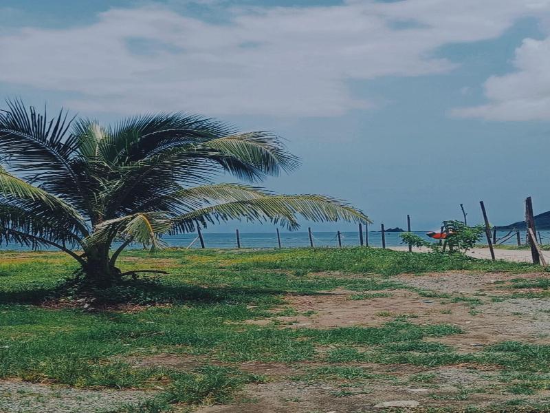 Pacific Waves Inn image