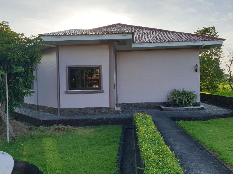Mayon View Garden Apartelle