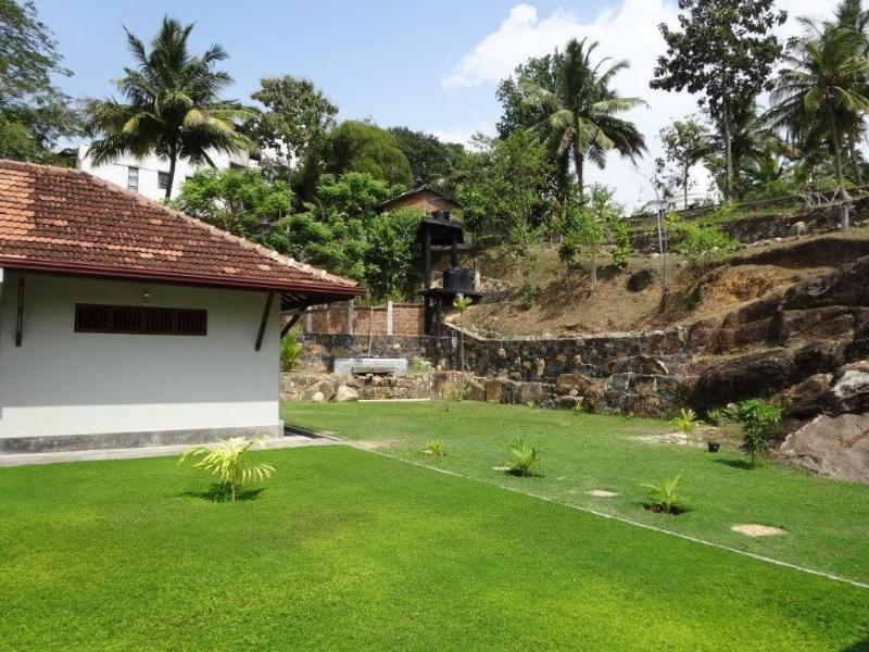 Lucky Cottage image