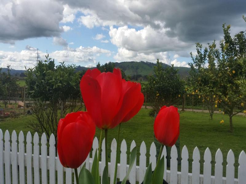 The Homestead B&B image
