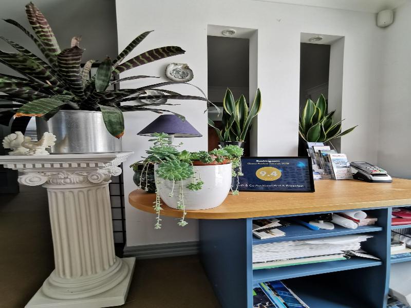 Lush & Co Auckland Bed & Breakfast image
