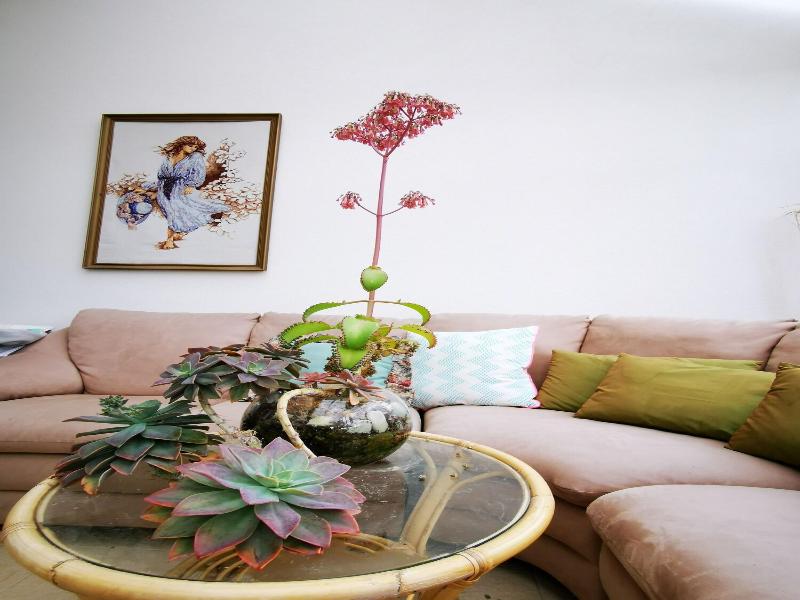 Lush & Co Auckland Bed & Breakfast image