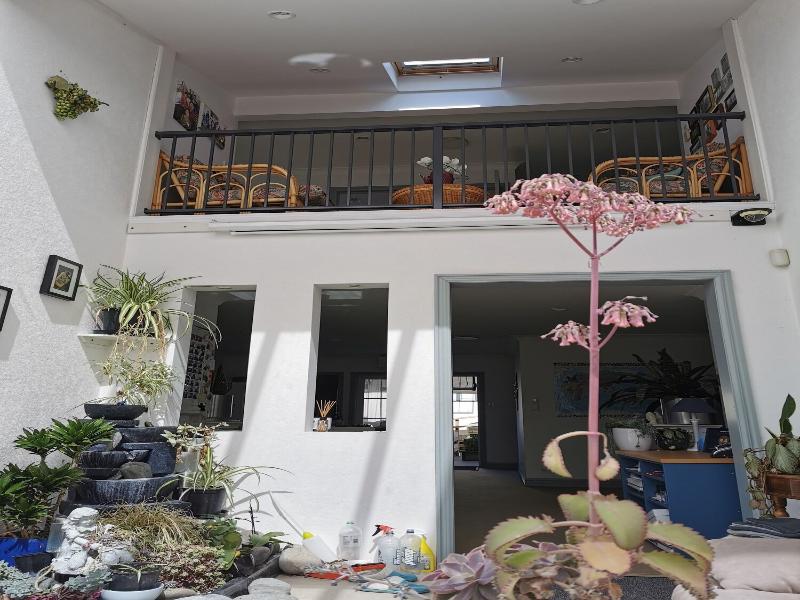 Lush & Co Auckland Bed & Breakfast image