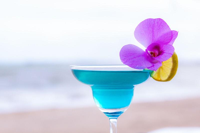 The Lord Nelson image