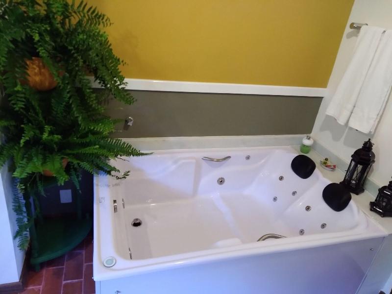Bromelia Sabia & Cia image