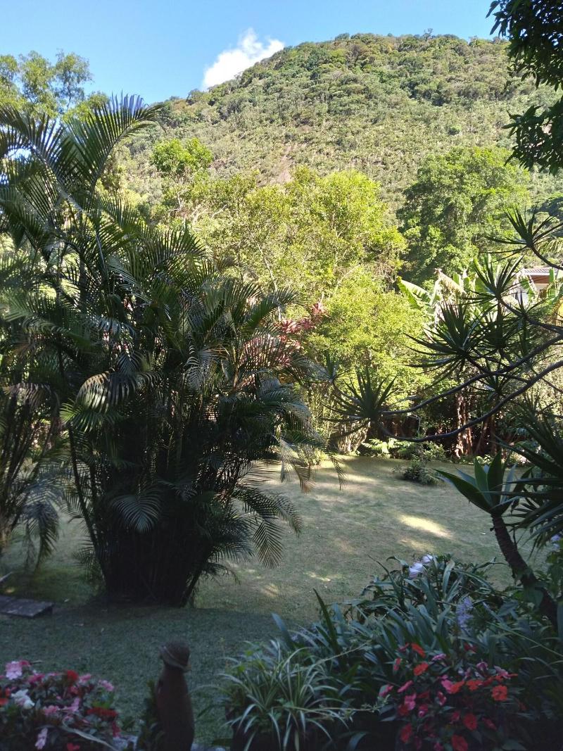 Bromelia Sabia & Cia image