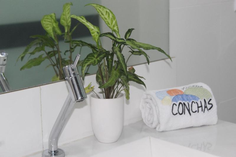 Hotel Conchas image