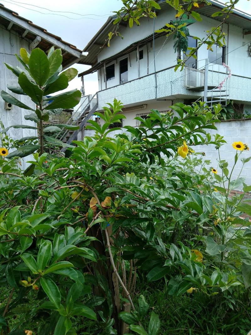 Hospedagem Navegantes