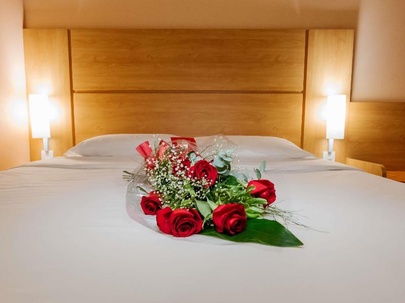 Ibis Novo Hamburgo image
