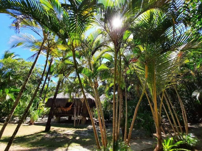 Aldeia Da Mata Eco Lodge