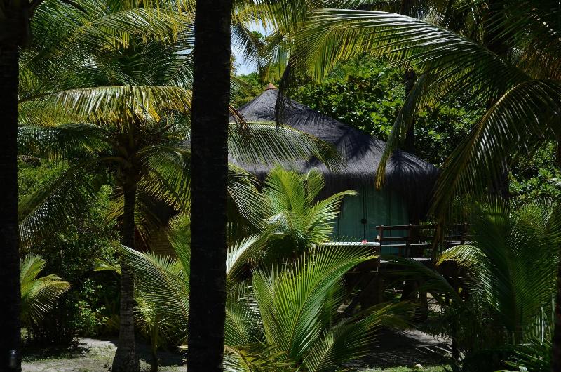 Aldeia Da Mata Eco Lodge