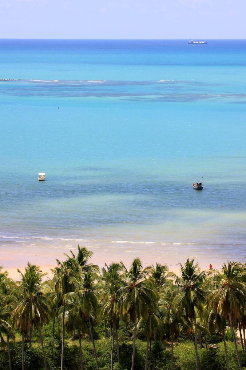 Pousada Paraíso dos Coqueirais image