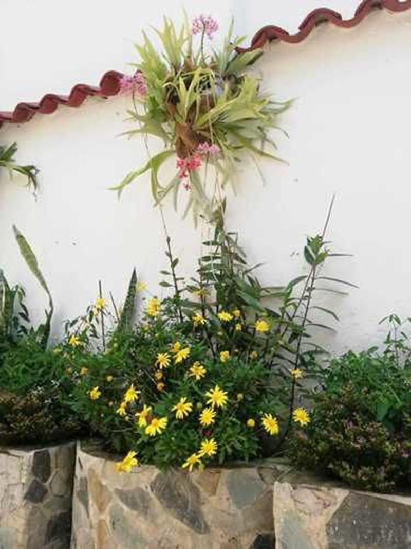 Casa Gloria En Villa De Leyva image