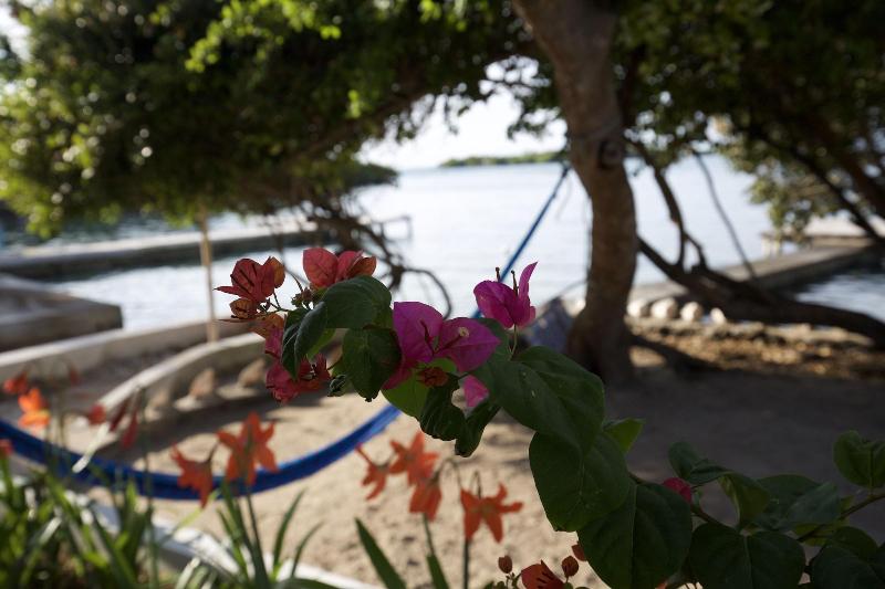Isla Tijereto image