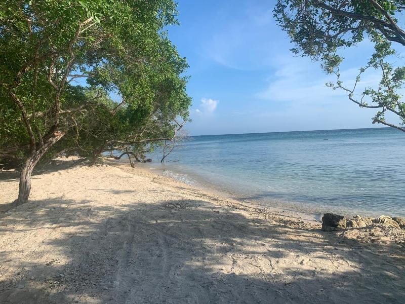 Isla Tijereto image