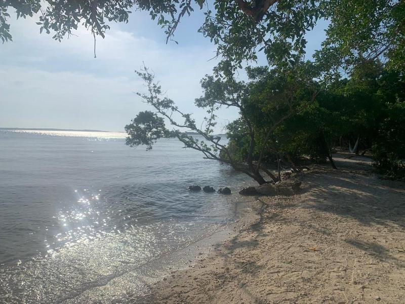 Isla Tijereto image