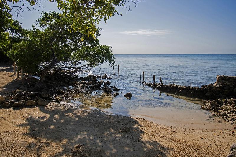Isla Tijereto image