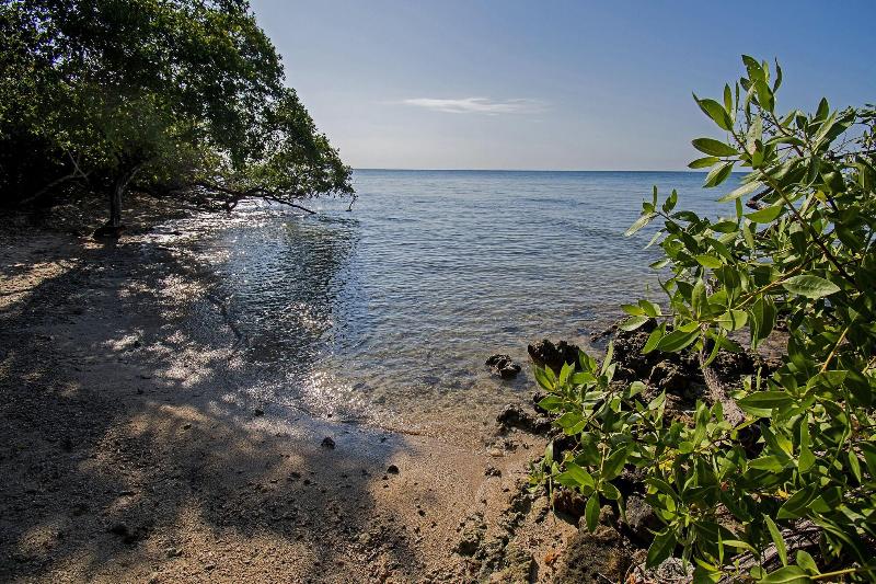 Isla Tijereto image