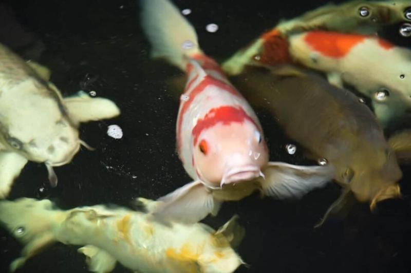 Rest Time Hotel image