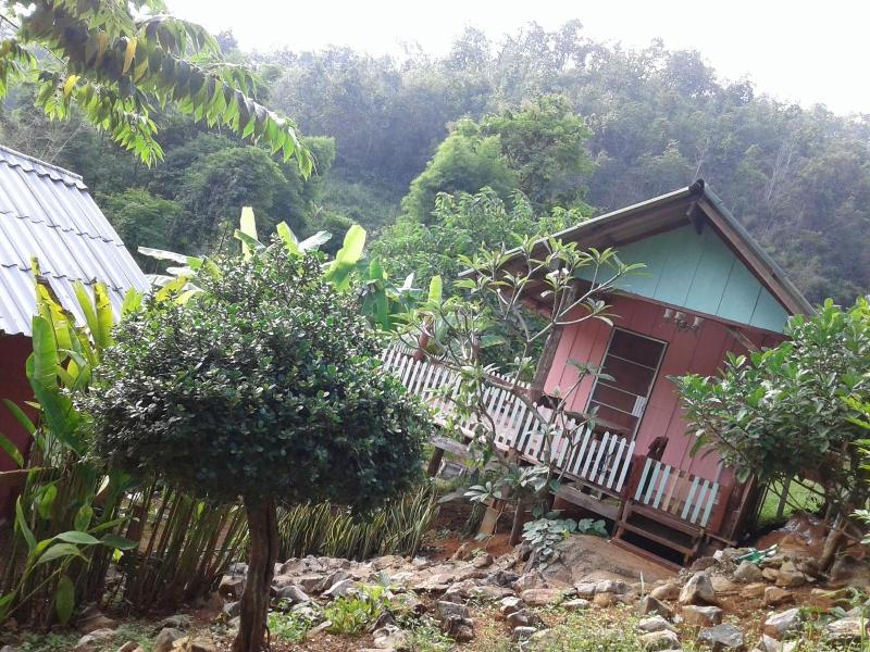 Forest Guesthouse image