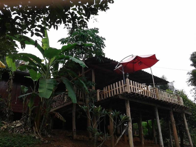 Forest Guesthouse image