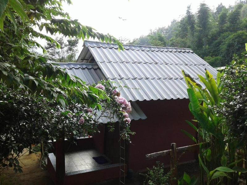 Forest Guesthouse image