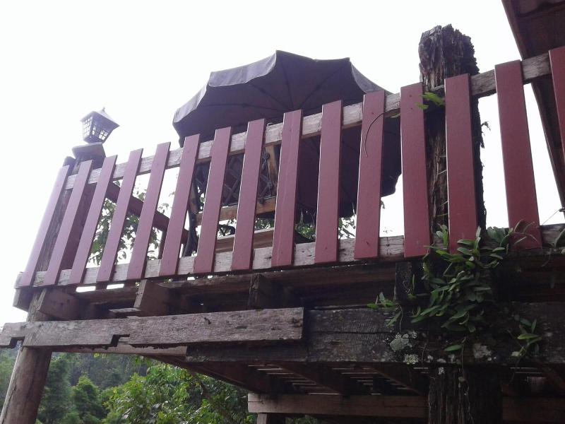 Forest Guesthouse image