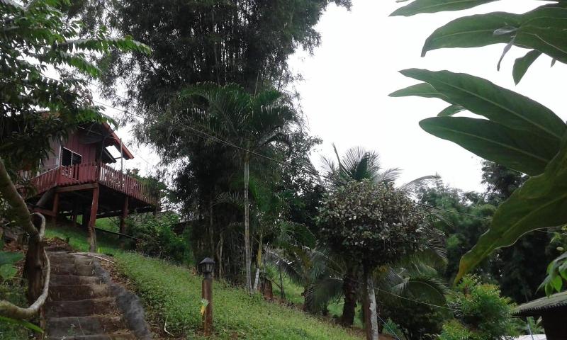 Forest Guesthouse image