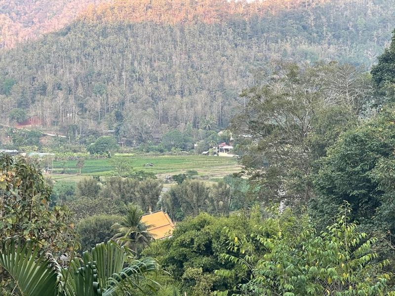 Forest Guesthouse image