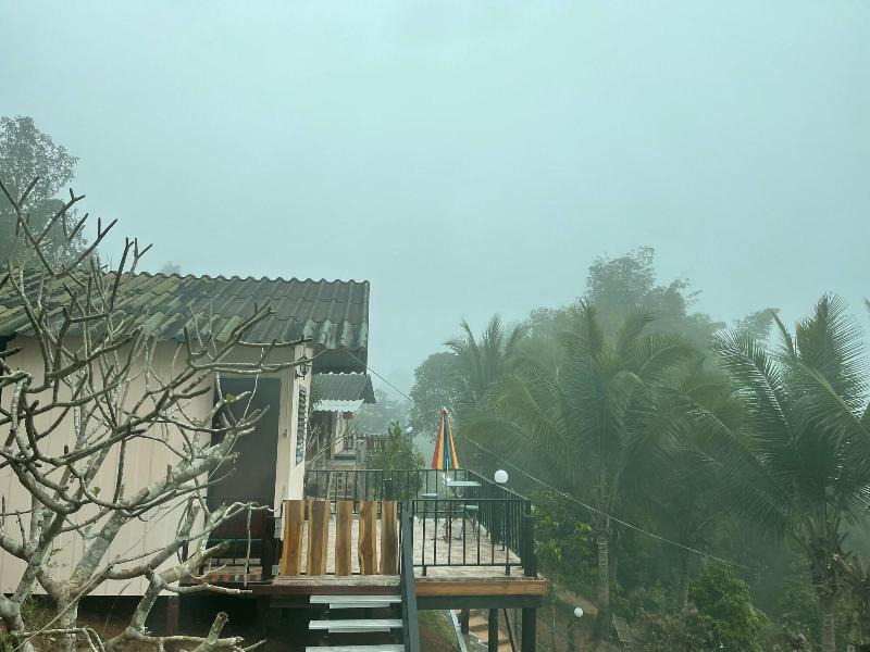 Forest Guesthouse image