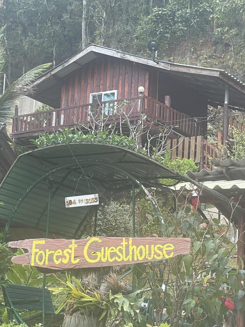 Forest Guesthouse image
