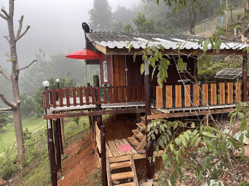 Forest Guesthouse image