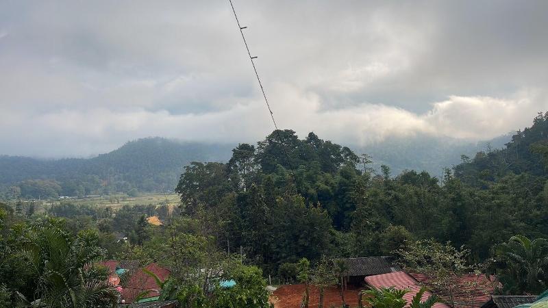 Forest Guesthouse image